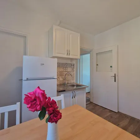 Mamut Donji Milanovac