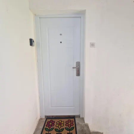 Mamut * Donji Milanovac